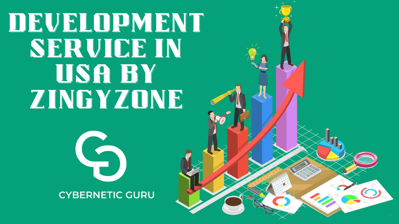 development service in usa by zingyzon